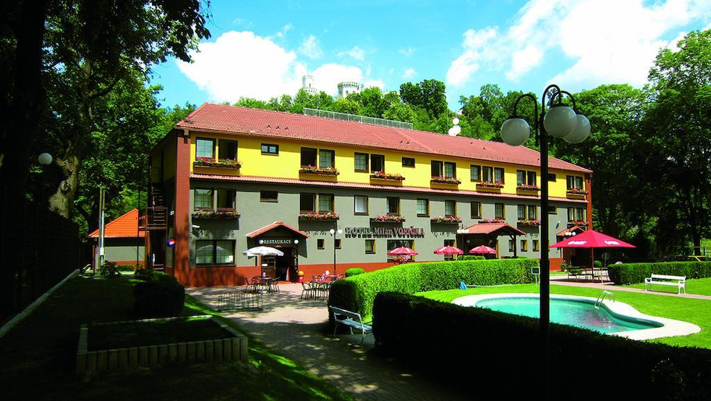 Milan Vopicka